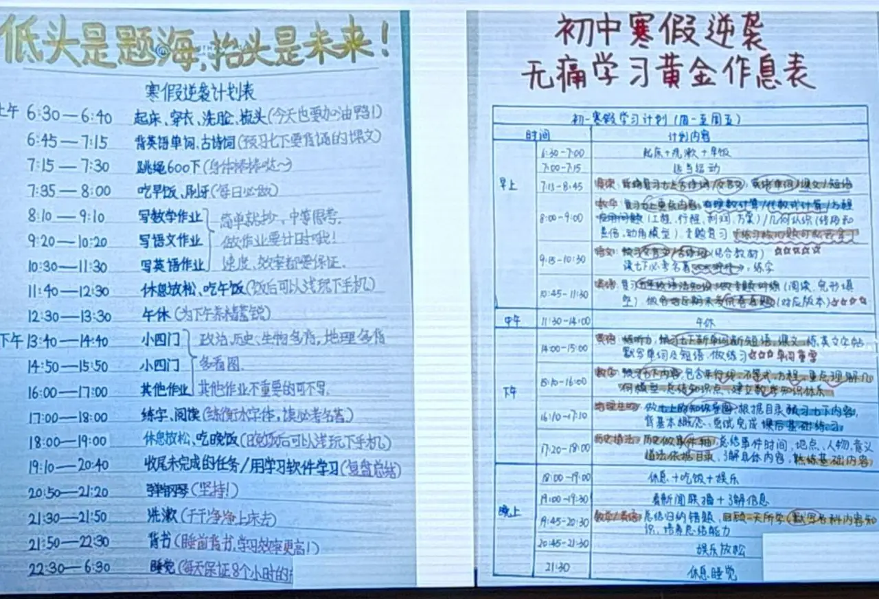 学习计划表2